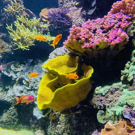 Daire Le Ti Rochelais, Superbe Appart, Design, Cosy, Vieux-port Au Calme La Rochelle (Charente-Maritime)